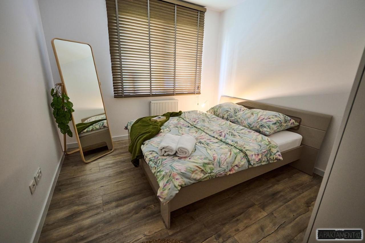 12 Apartment Chojnice